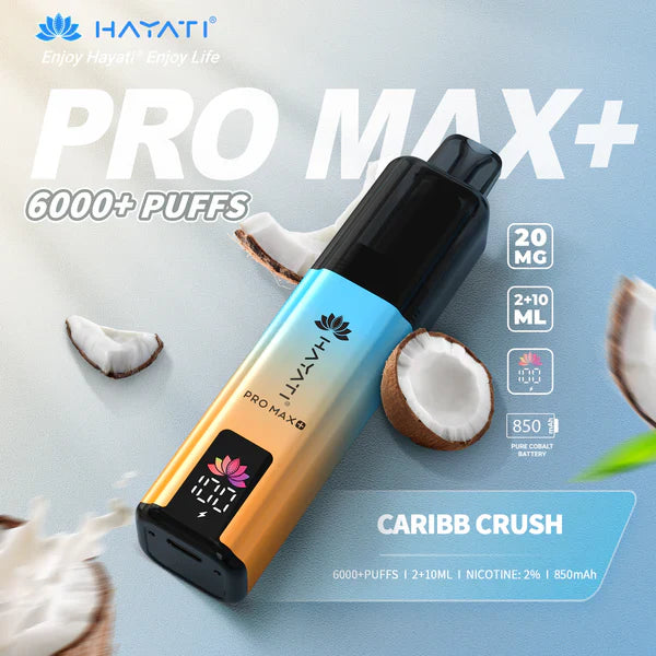 Hayat Pro Max+ 6000 Puffs Disposable Vape (Box of 10)